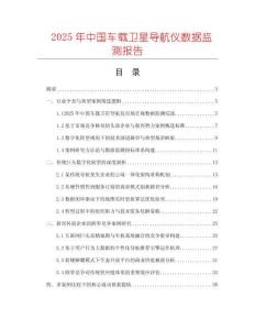 2025年中国车载卫星导航仪数据监测报告