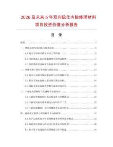 2026及未来5年双向硫化内胎修理材料项目投资价值分析报告