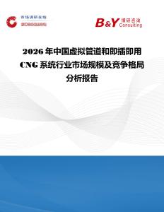 2026年中国虚拟管道和即插即用CNG系统行业市场规模及竞争格局分析报告