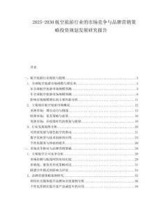 2025-2030航空旅游行业的市场竞争与品牌营销策略投资规划发展研究报告