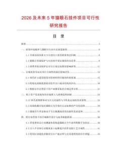 2026及未来5年猫眼石挂件项目可行性研究报告