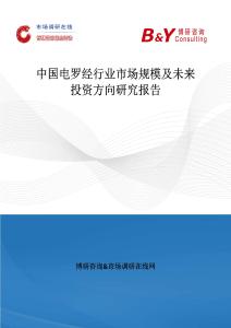 中国电罗经行业市场规模及未来投资方向研究报告