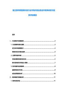 独立部件联盟高科技行业市场开放业务合作竞争研发与投资评估规划