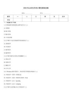 2025年山东专升本计算机基础试题