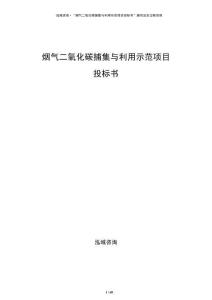 烟气二氧化碳捕集与利用示范项目投标书