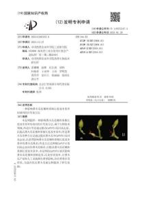 CN119372247A 一种影响番木瓜花穗和果柄长度及坐果率的基因的应用及方法 （中国热带农业科学院三亚研究院）