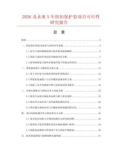 2026及未来5年纽扣保护套项目可行性研究报告