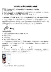 2026年贵州省六盘水市高考仿真卷物理试题（含答案解析）