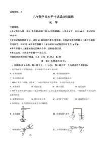 2026年陕西榆林市榆阳区中考二模化学试题（原卷版）