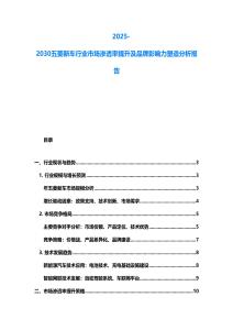 2025-2030五菱新车行业市场渗透率提升及品牌影响力塑造分析报告