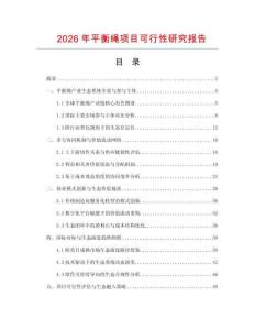 2026年平衡绳项目可行性研究报告