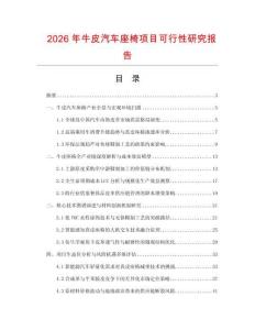 2026年牛皮汽车座椅项目可行性研究报告