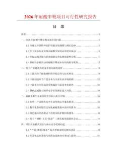 2026年耐酸半靴项目可行性研究报告