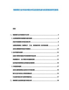 物联网行业市场详细分析及投资机遇与投资规划研究报告