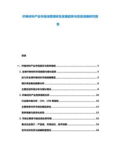 纤维材料产业市场深度调研及发展趋势与投资战略研究报告