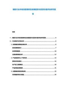 橡胶行业市场深度调研及发展趋势与投资价值评估研究报告