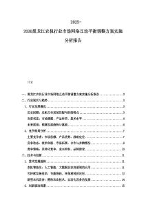 2025-2030黑龙江农机行业市场网络互动平衡调整方案实施分析报告