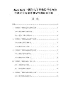 2026-2030中国氢化丁苯橡胶行业市场发展趋势与前景展望战略研究报告