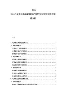 2025-2030气候变化领域政策影响气候变化应对共同规划调研分析
