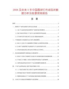 2026及未来5年中国圆球灯市场现状数据分析及前景预测报告