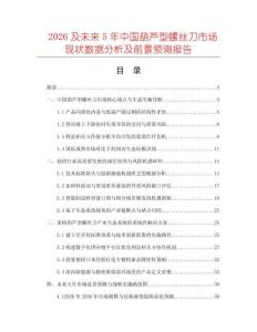 2026及未来5年中国葫芦型螺丝刀市场现状数据分析及前景预测报告