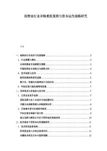 润滑油行业并购重组案例与资本运作战略研究