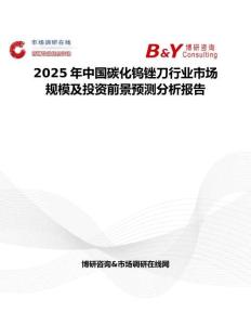 2025年中国碳化钨锉刀行业市场规模及投资前景预测分析报告
