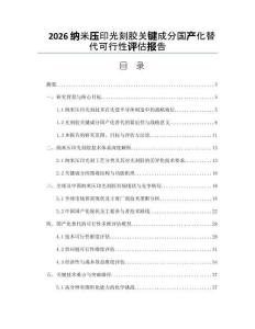 2026纳米压印光刻胶关键成分国产化替代可行性评估报告