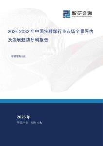 2026-2032年中国洗精煤行业市场全景评估及发展趋势研判报告