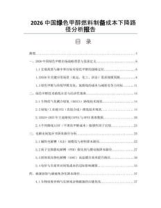 2026中国绿色甲醇燃料制备成本下降路径分析报告