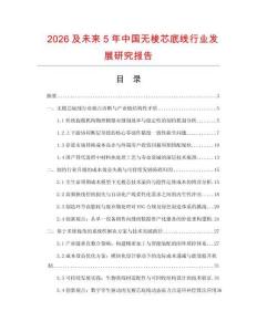 2026及未来5年中国无梭芯底线行业发展研究报告