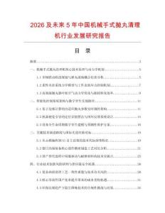 2026及未来5年中国机械手式抛丸清理机行业发展研究报告