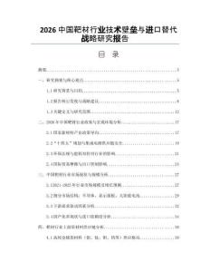 2026中国靶材行业技术壁垒与进口替代战略研究报告
