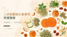 三伏贴敷贴注意事项科普