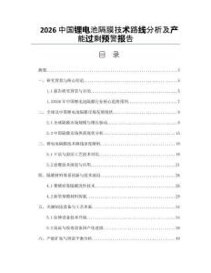 2026中国锂电池隔膜技术路线分析及产能过剩预警报告