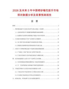 2026及未来5年中国喷砂梅花扳手市场现状数据分析及前景预测报告.docx