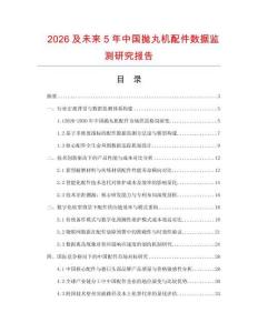 2026及未来5年中国抛丸机配件数据监测研究报告.docx