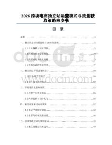 2026跨境电商独立站运营模式与流量获取策略白皮书