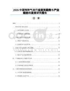 2026中国特种气体行业发展趋势与产业链协同发展研究报告