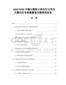 2026-2030中国远程射击系统行业市场发展趋势与前景展望战略研究报告