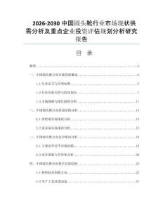 2026-2030中国圆头靴行业市场现状供需分析及重点企业投资评估规划分析研究报告