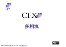 CFX多项流PPT教程