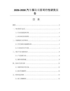 2026-2030汽车保险项目可行性研究报告