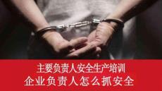 【课件】企业负责人怎么抓安全