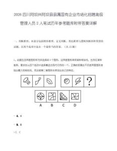2026四川阿坝州阿坝县县属国有企业市场化招聘高级管理人员2人笔试历年参考题库附带答案详解.docx