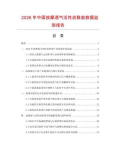 2026年中国按摩透气活性炭鞋垫数据监测报告.docx