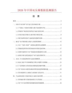 2026年中国双头锤数据监测报告.docx