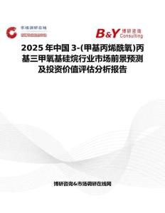 2025年中国3-(甲基丙烯酰氧)丙基三甲氧基硅烷行业市场前景预测及投资价值评估分析报告