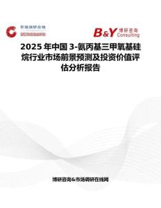 2025年中国3-氨丙基三甲氧基硅烷行业市场前景预测及投资价值评估分析报告
