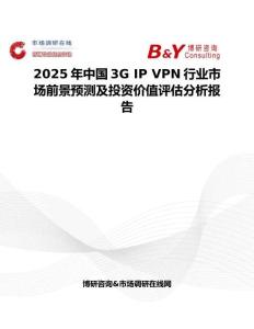 2025年中国3G IP VPN行业市场前景预测及投资价值评估分析报告